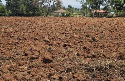 🌿 FOR SALE – PRIME 2 ACRES IN KOILEL 🌿