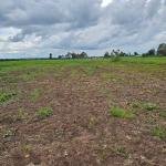 5bedroom+ 20 Acre Land in Kiplombe Kaplelach