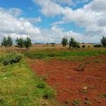 Spacious rental unit 4 Bedroom Property in Aldai