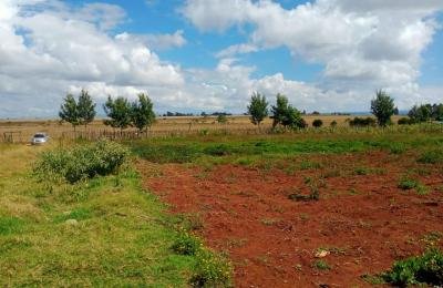 Spacious rental unit 4 Bedroom Property in Aldai